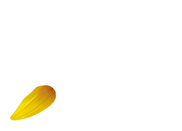 ls_petals